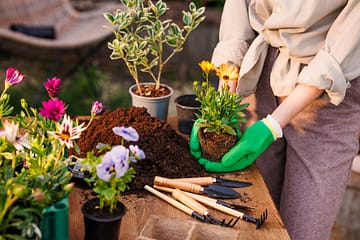 gardener
