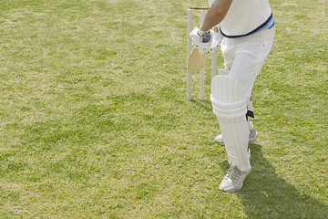 wheon cricket 07