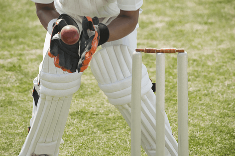   wheon cricket 07 